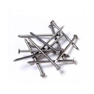 Common Wire Nail